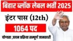 Bihar Block Level New Bharti 2025
